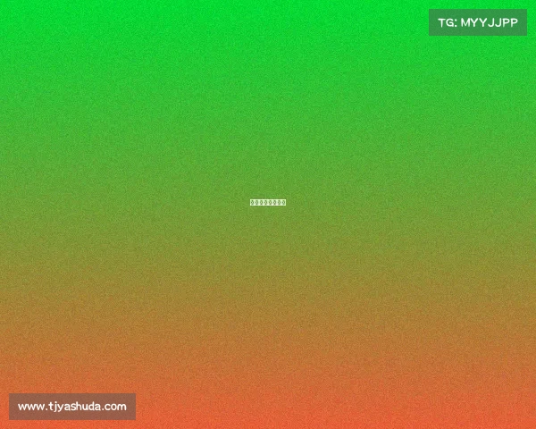 沈阳体育赛事安排